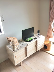 roomphoto187-01